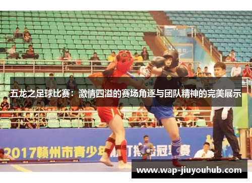 五龙之足球比赛：激情四溢的赛场角逐与团队精神的完美展示