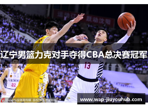 辽宁男篮力克对手夺得CBA总决赛冠军